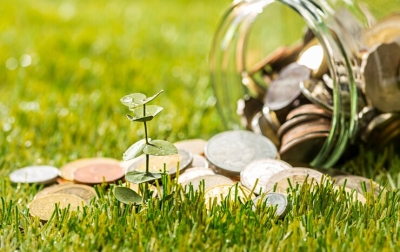 Saat Dana Iklim Menciut, Indonesia Harus Berdiri di Kaki Sendiri