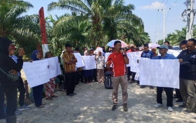 Lahan Tambak Jadi Sawit Ilegal? Kelompok 80 Plasma TIR Kembali Seruduk Kantor PT DMK