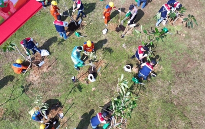 Tol Trans Sumatera Makin Hijau! HK Targetkan Serap 9.000 Ton Karbon Lewat Penanaman 17 Ribu Pohon