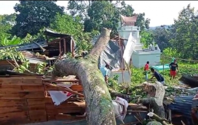 Rumah Warga di Pardugul Hancur Tertimpa Pohon Kemiri, Seluruh Keluarga Selamat