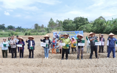 Bupati Samosir Tanam Bawang Putih, Optimistis Jadi Sentra di Sumut