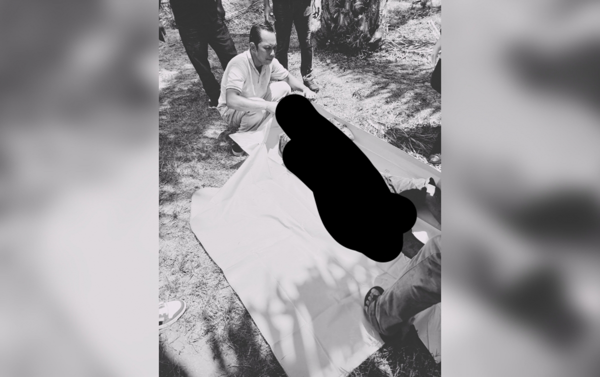 Geger! Warga Mata Pao Temukan Jasad 'Gendon' Bersimbah Darah di Kebun Sawit Socfindo