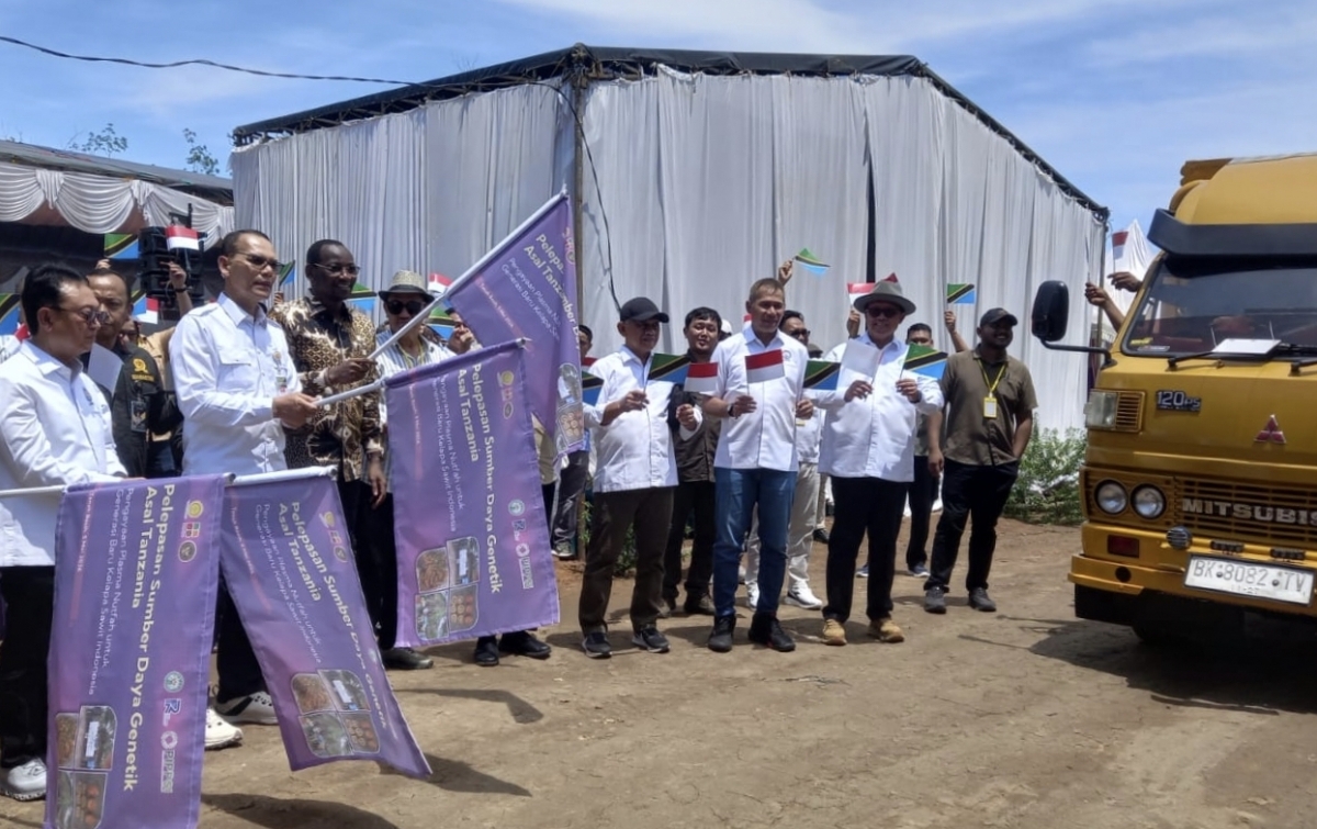 Sinergi di Sergai: 29 Ribu Pohon Sawit Tanzania Resmi Dilepas untuk Perkuat Plasma Nutfah Nasional