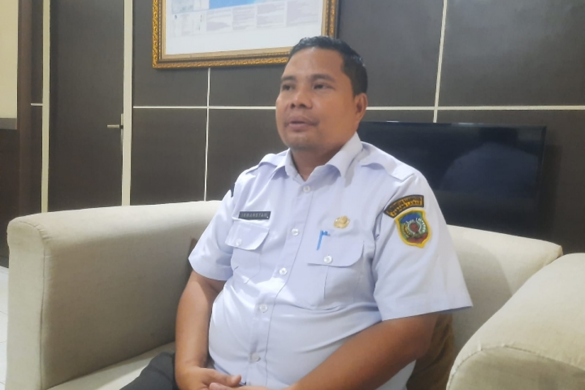 Tahun Depan Bus Perintis Beroperasi di Palas