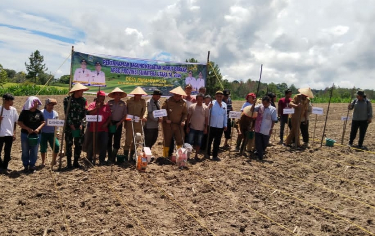 Bupati Samosir Sebut Bantuan Benih Jagung Wujud Kolaborasi Pemprov Sumut dan Pemkab