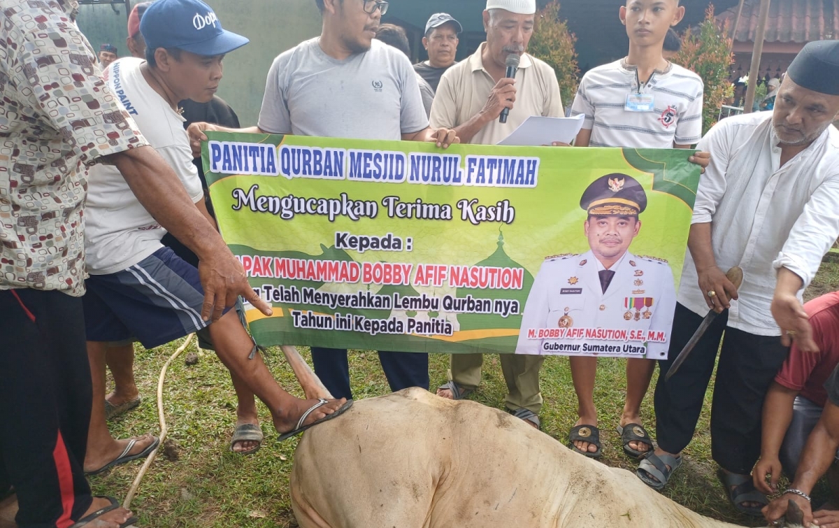 Gubsu Serahkan 1 Ekor Hewan  Kurban ke Masjid Nurul Fatimah Bandar Klippa