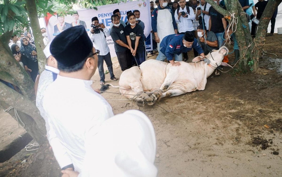 Salat Ied Bersama Warga, Bupati Deli Serdang Tinjau Kurban Presiden dan Resmikan RPH di Tanjung Morawa