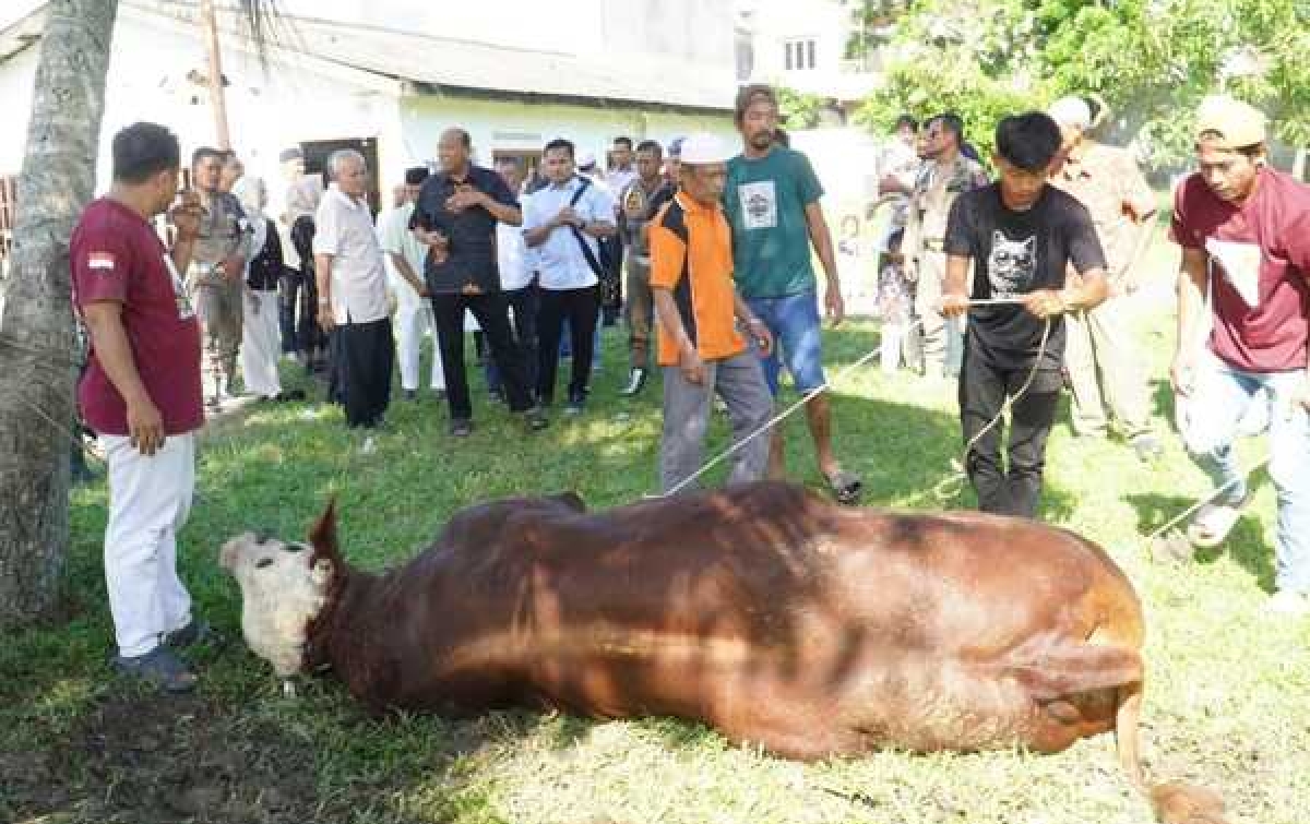 Afandin Ajak Warga Maknai Idul Adha Dengan Keikhlasan dan Kepedulian