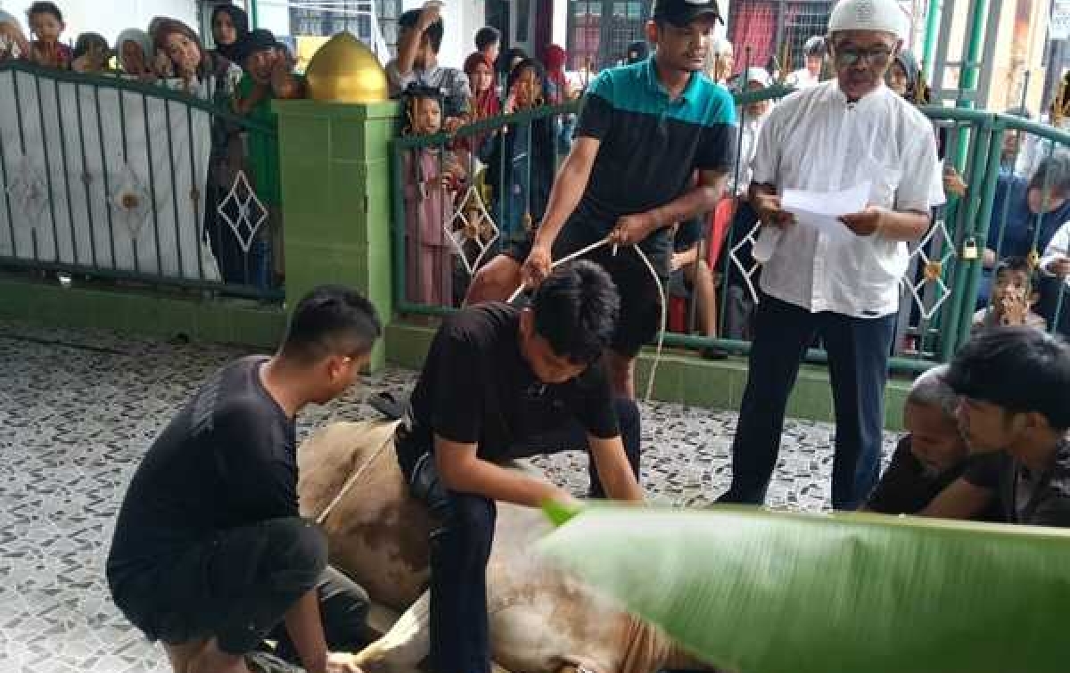 BKM Muslimin Sembelih 17 Hewan Kurban