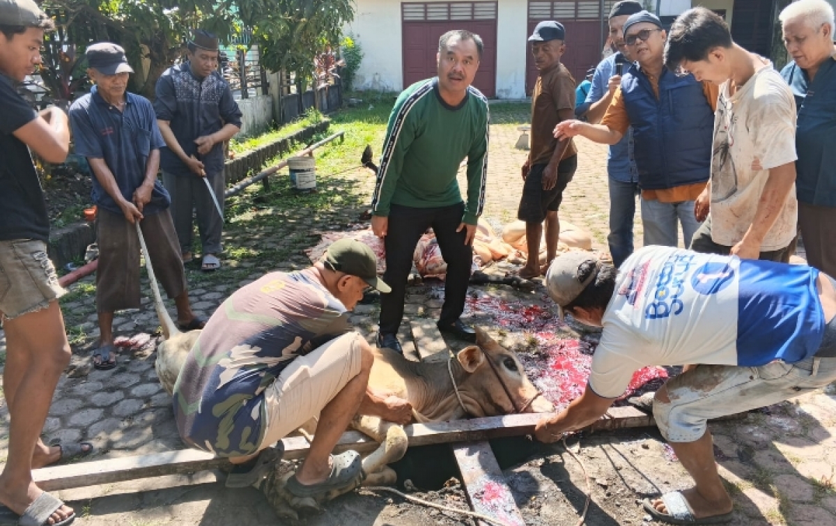 Iduladha 1447 H,  PWI Sumut Sembelih Enam Hewan Kurban