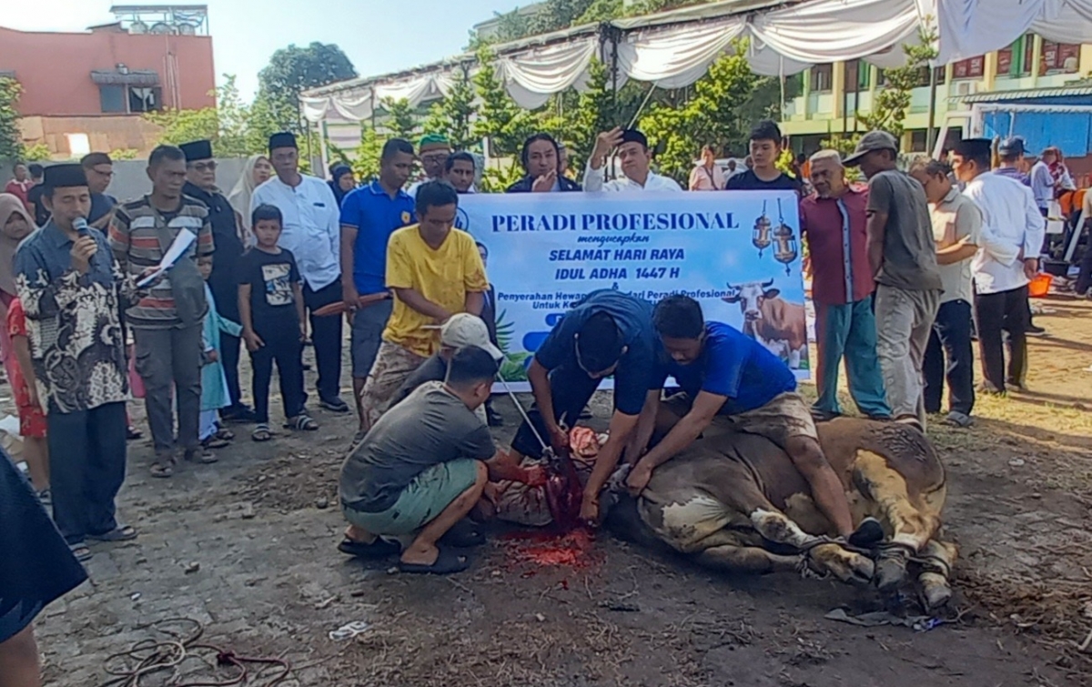Semangat Berbagi Meningkat, Keluarga Besar UISU Sembelih 22 Hewan Kurban pada Iduladha 1447 H