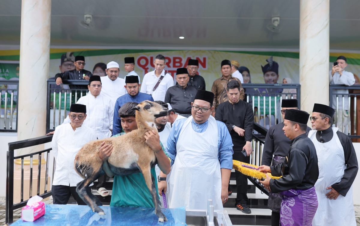 Tembus 1.900 Ekor Domba, Program Kurban Aliyah Rizq Agriculture di Sumut Sabet Rekor Asia dan ASEAN!