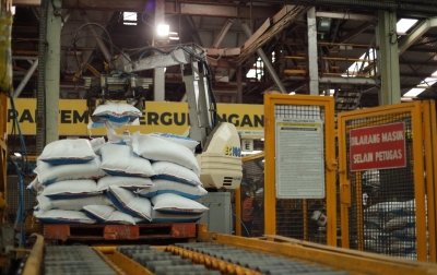 Kelangkaan Pupuk Bersubsidi di Simalungun Mulai Teratasi, Distribusi Kini Berangsur Normal