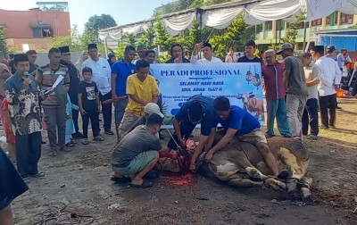 Semangat Berbagi Meningkat, Keluarga Besar UISU Sembelih 22 Hewan Kurban pada Iduladha 1447 H
