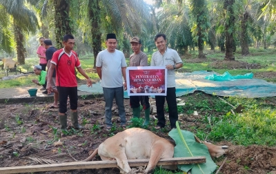 Idul Adha 2026, Binjai Mall Bagikan Hewan Kurban untuk Masyarakat Sekitar