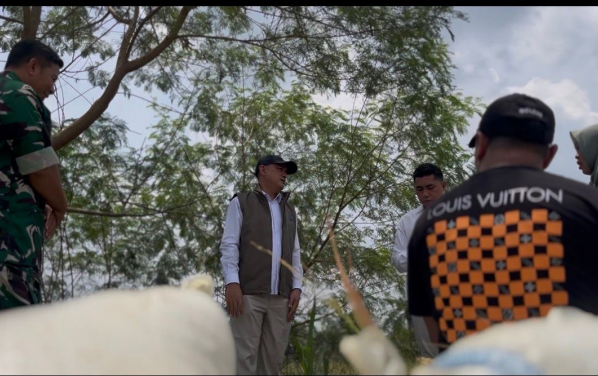 BULOG Tembus 3 Juta Ton Serapan Gabah-Beras Petani, Rekor Baru Penguatan Cadangan Pangan Nasional