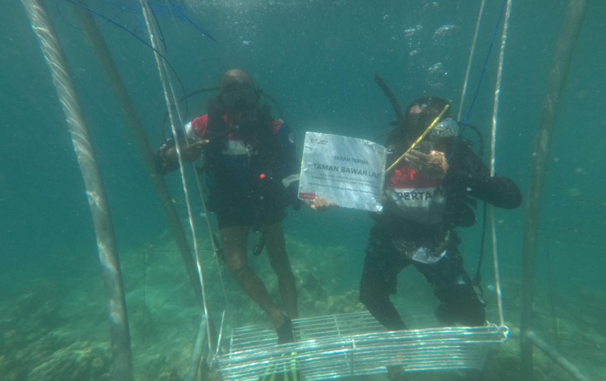 Pertamina Patra Niaga IT Teluk Kabung Laksanakan Transplantasi Terumbu Karang di Pulau Pasumpahan