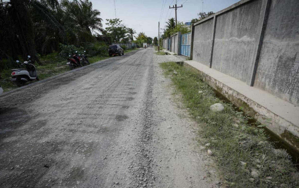 Bupati Tinjau Progres Pengaspalan Jalan Paluh Gelombang Percut Sei Tuan