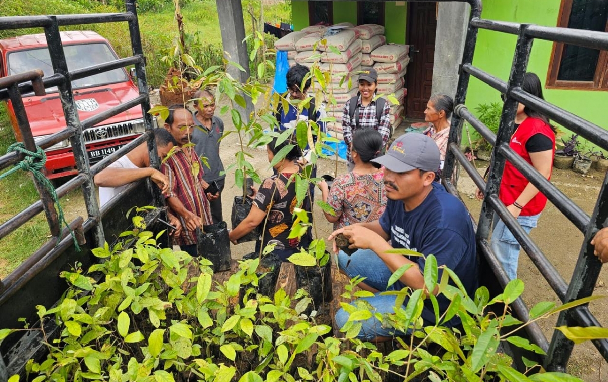 Aksi GJI Hijaukan Kembali Hutan Adat Lewat 10.000 Bibit Kemenyan