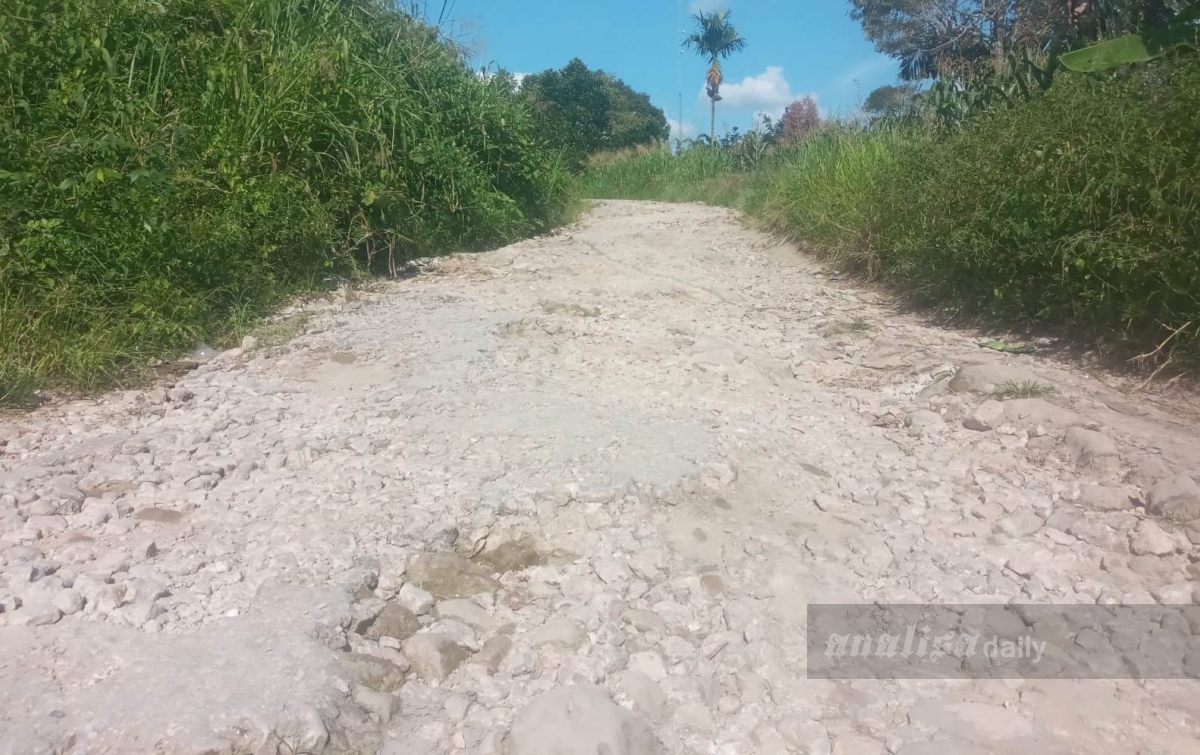 Akses 18 Km Lantak bak Batu Padas, Warga Dairi Sindir Janji 'Angin Surga' Politisi Saat Pemilu
