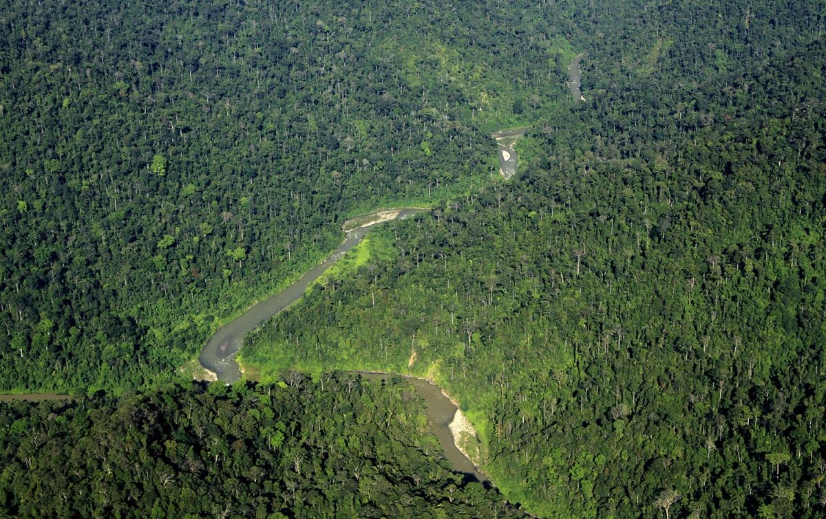 Leuser Bukan Ruang Kosong untuk Dibuka