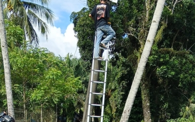 Marak Kabel Fiber Optik Diduga Tak Berizin Menempel di Tiang PLN di Natal