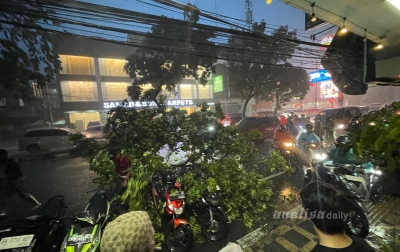 Pohon Tumbang Tutup Jalan Brigjen Katamso, Evakuasi Kilat Warga Selamatkan Lalu Lintas