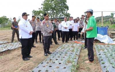 Bupati Samosir dan Kapolda Sumut Tinjau Pengembangan Bawang Putih di Simanindo