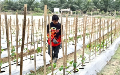 Harapan yang Disemai dari Pohon Cabai: Kisah Abdul Rozzaq, Kepala Keluarga Penyintas Banjir Sumatera