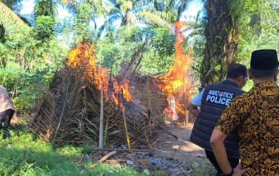 Sarang Narkoba Dolok Masihul Digerebek: Pelaku Kabur, Gubuk Transaksi Hangus Dibakar