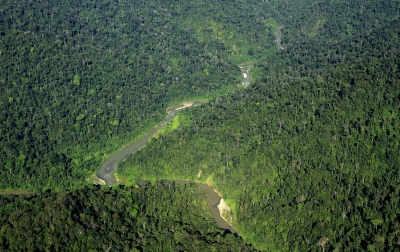 Leuser Bukan Ruang Kosong untuk Dibuka