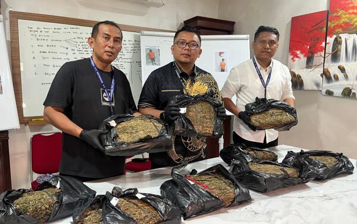 Hadiah HUT Ke-80 Bhayangkara, Sat Narkoba Ringkus Bandar 9,4 Kg Ganja