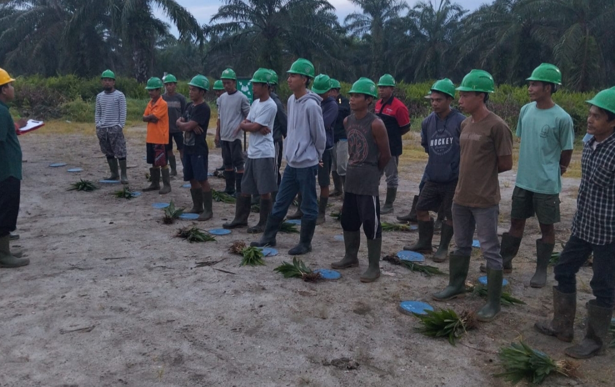 MA Batalkan SK Menhut 4.773,90 Hektare, HGU PT CSIL Disebut Masih Berlaku