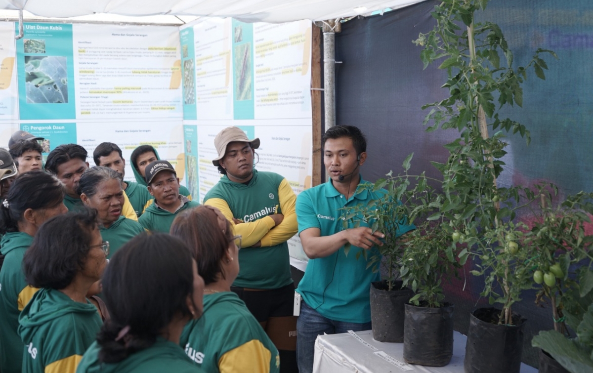 Inovasi Insektisida Sistemik Ganda untuk Memperkuat Produktivitas Hortikultura Nasional