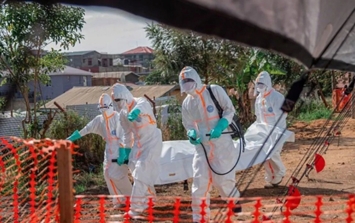 Korban Tewas Wabah Ebola di Kongo Capai 600 Orang