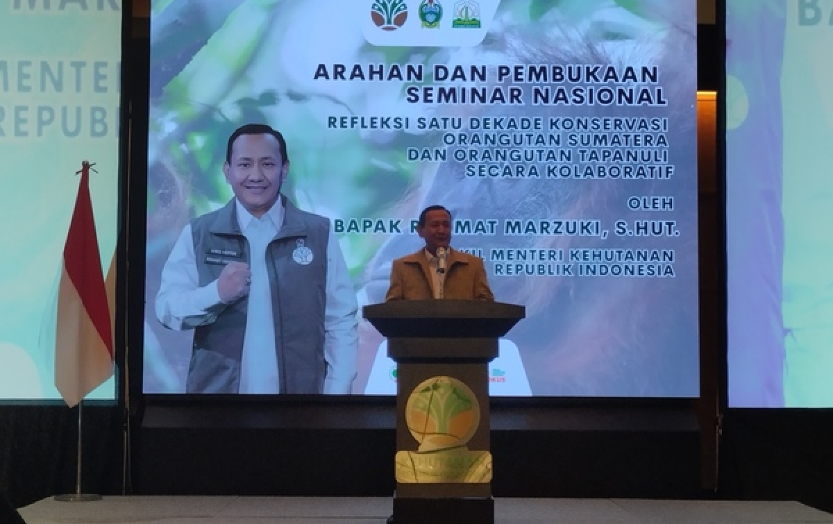 Satu Dekade Terakhir, Jumlah Orangutan Di Sumatera Tersisa 12.410 Individu
