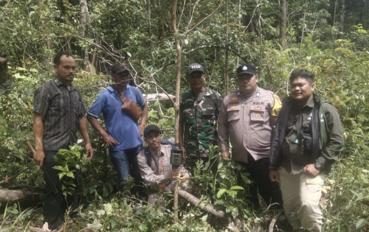 BBKSDA Sumut Pasang Kamera Trap di Lokasi Penemuan Diduga Jejak Kaki Harimau
