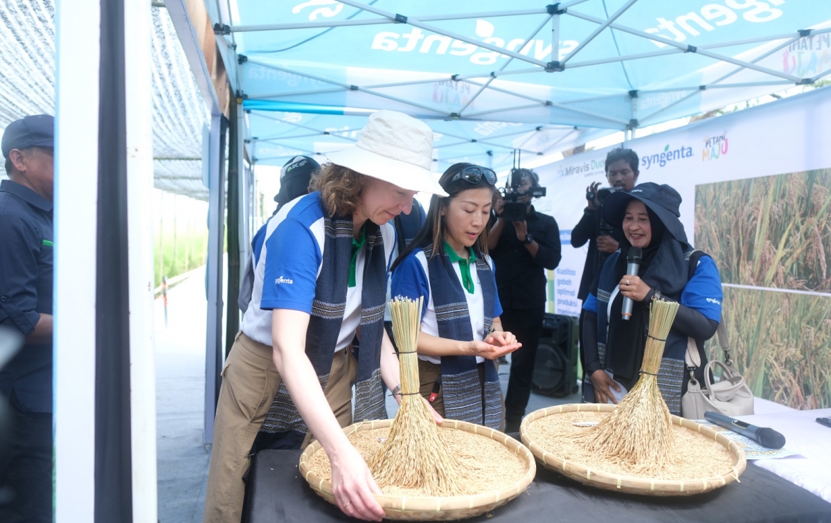 Serdang Bedagai Jadi Sorotan Nasional, Syngenta Resmi Luncurkan Teknologi Fungisida Padi Terbaru untuk Dongkrak Produksi Pangan