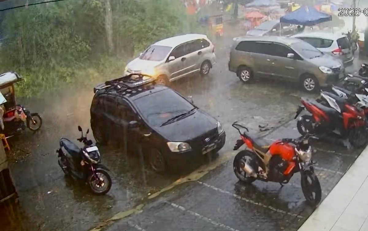 Detik-Detik Mencekam di Taman Balita Binjai: Pohon Raksasa Roboh Timpa Lapak Pedagang
