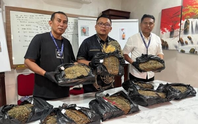 Hadiah HUT Ke-80 Bhayangkara, Sat Narkoba Ringkus Bandar 9,4 Kg Ganja