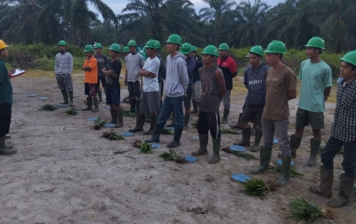 MA Batalkan SK Menhut 4.773,90 Hektare, HGU PT CSIL Disebut Masih Berlaku