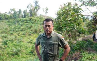 Nekat Tanam Sawit di Taman Nasional Gunung Leuser, Ratusan Pohon Milik Perambah Akhirnya Tumbang