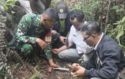 Awas! Warga Temukan Jejak Kaki Harimau di Perladangan