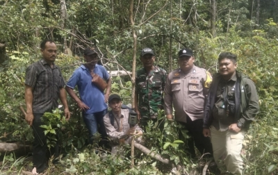BBKSDA Sumut Pasang Kamera Trap di Lokasi Penemuan Diduga Jejak Kaki Harimau