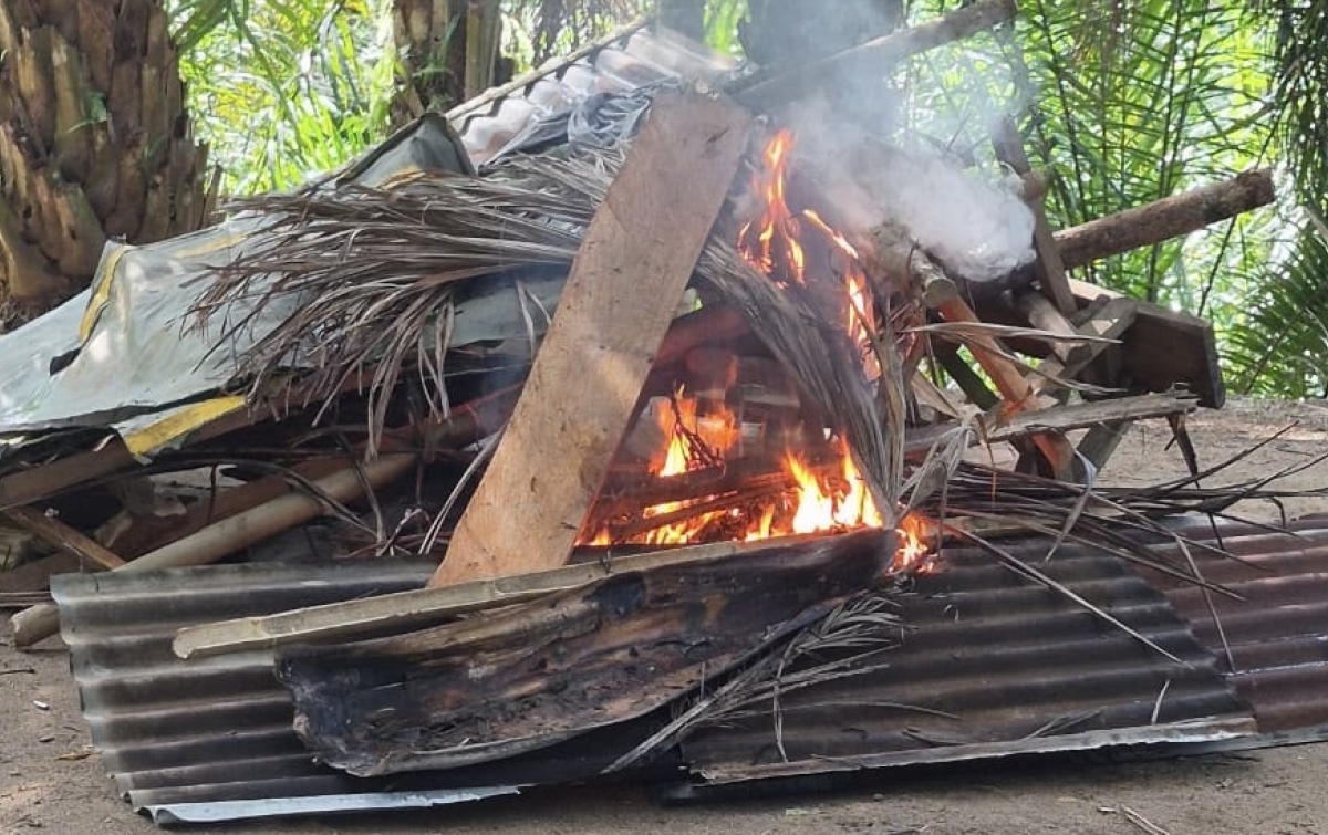 Polres Sergai Bakar Sarang Narkoba di Sungai Buaya, Satu Pengedar Diciduk