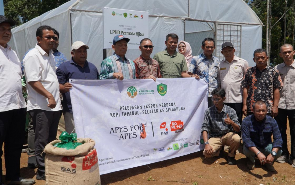 Pemberdayaan Masyarakat dan Konservasi Dorong Kopi Tapanuli Selatan Tembus Pasar Internasional