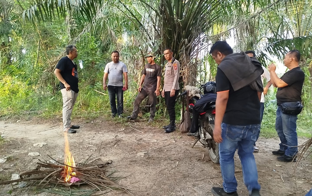 Sarang Narkoba di Ladang Sawit Dolok Masihul Digerebek Polisi, Pelaku Lari Cerai-Berai