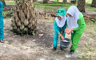 Oase di Balik Sekolah Sawit Lestari