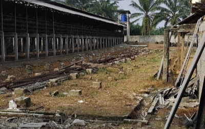 Warga Pulo Dogom Keluhkan Kandang Ayam Dekat Permukiman