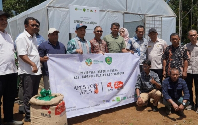 Pemberdayaan Masyarakat dan Konservasi Dorong Kopi Tapanuli Selatan Tembus Pasar Internasional